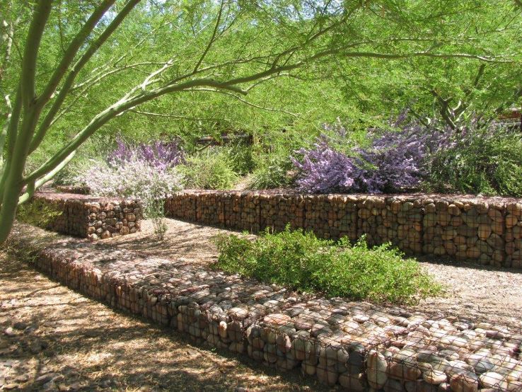 The Scottsdale Xeriscape Garden Trip Packages