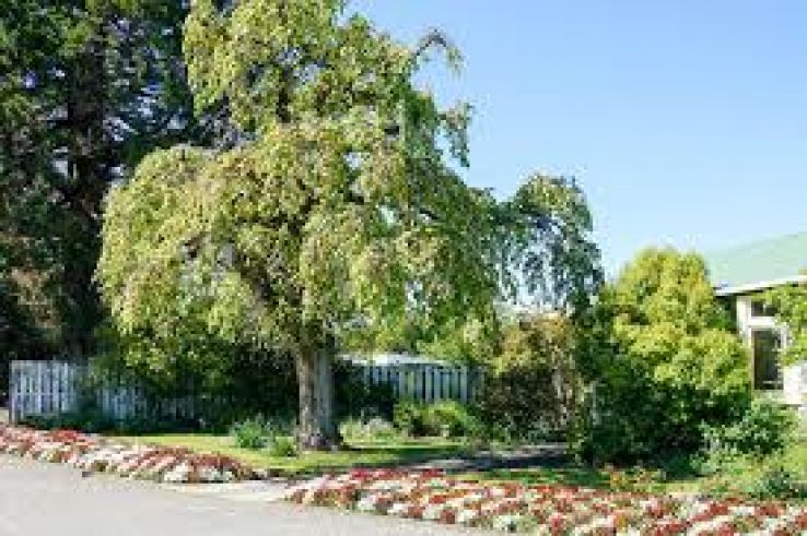 Queen Elizabeth Park Trip Packages