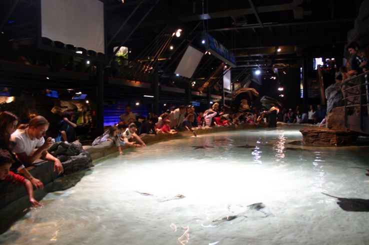 Genoa Aquarium Trip Packages