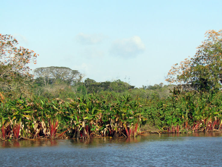 Cano Negro Wildlife Refuge Trip Packages