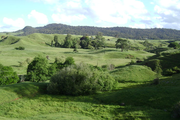 Maungakawa Scenic Reserve   Trip Packages