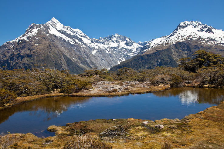 Routeburn Track Trip Packages