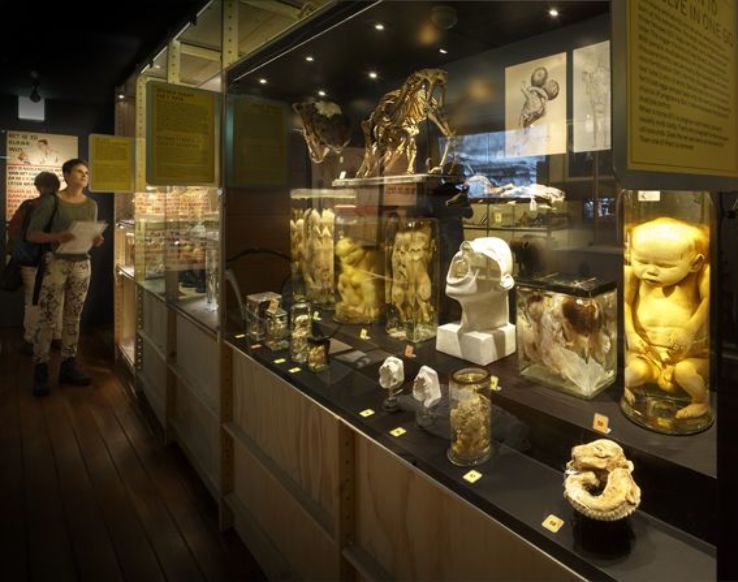 University Museum  Trip Packages