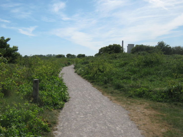 Sandwich and Pegwell Bay Nature Reserve Trip Packages