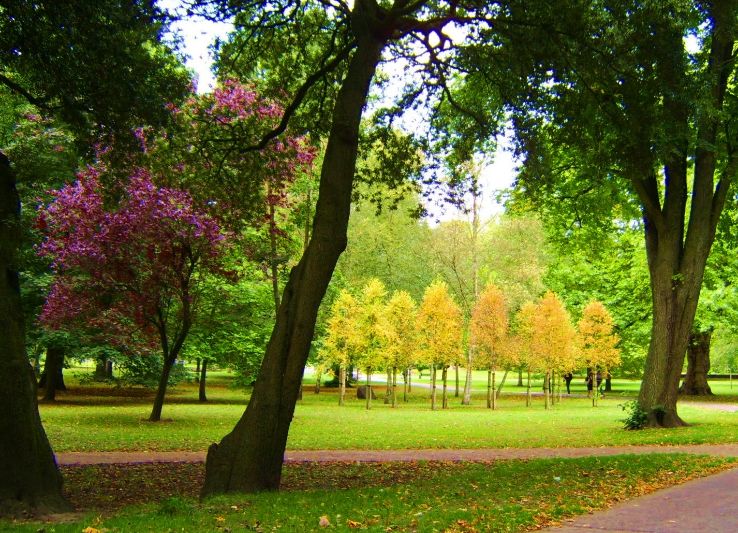 Bute Park  Trip Packages