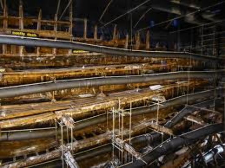 Mary Rose Museum  Trip Packages