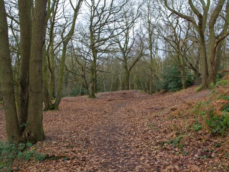 Kenilworth Common Trip Packages