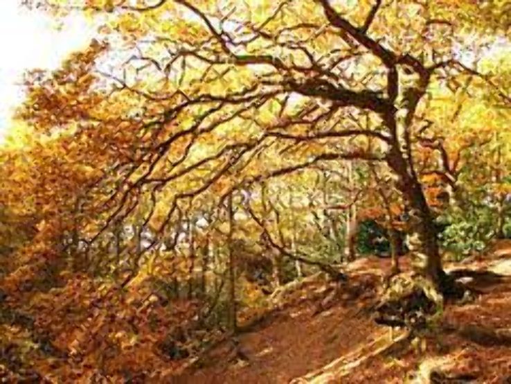 Kenilworth Common Trip Packages