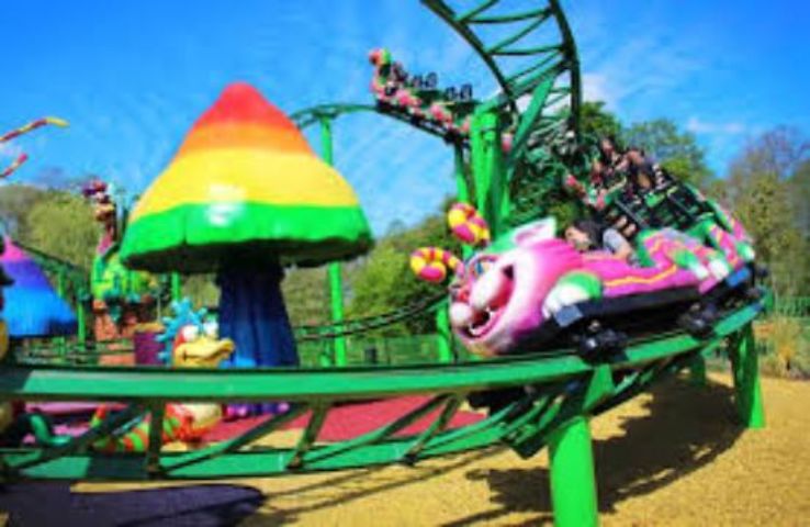 Paultons Park Attractions Trip Packages