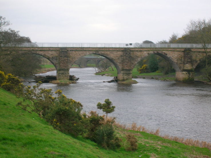 Laigh Milton Viaduct Trip Packages