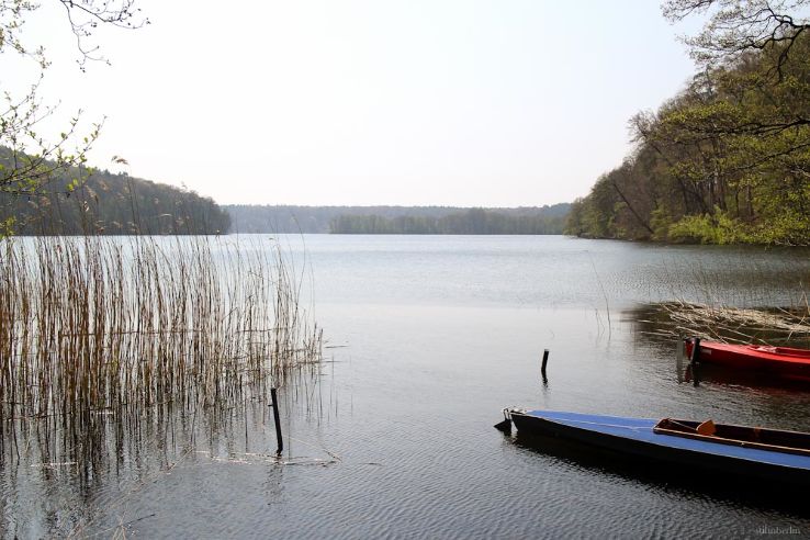 Escape to a lake Trip Packages