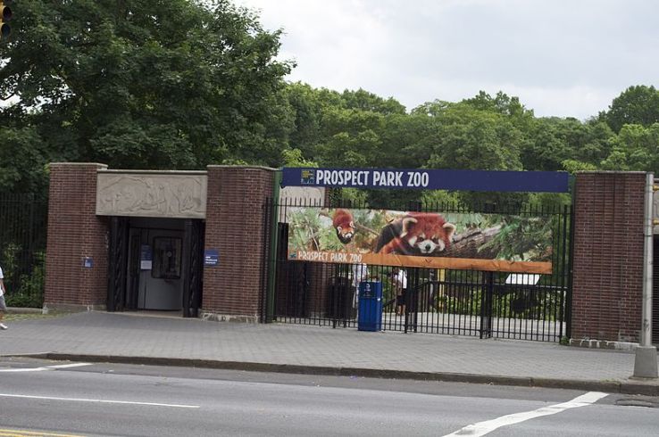 Prospect Park Zoo Trip Packages