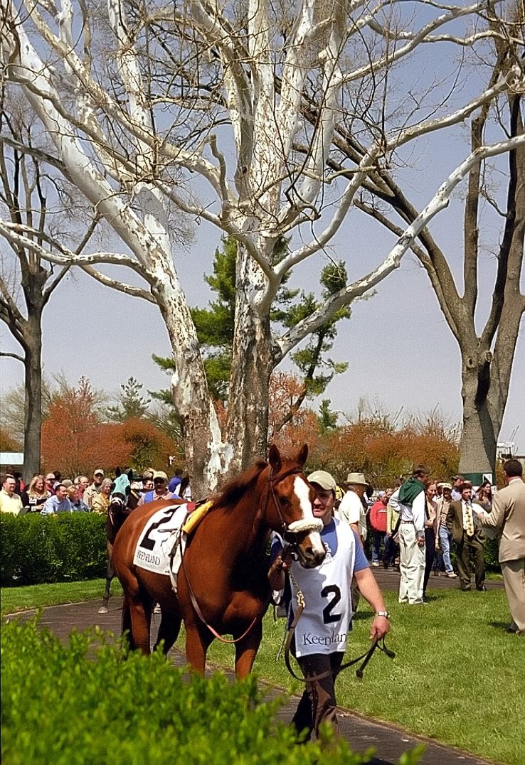 Keeneland Trip Packages