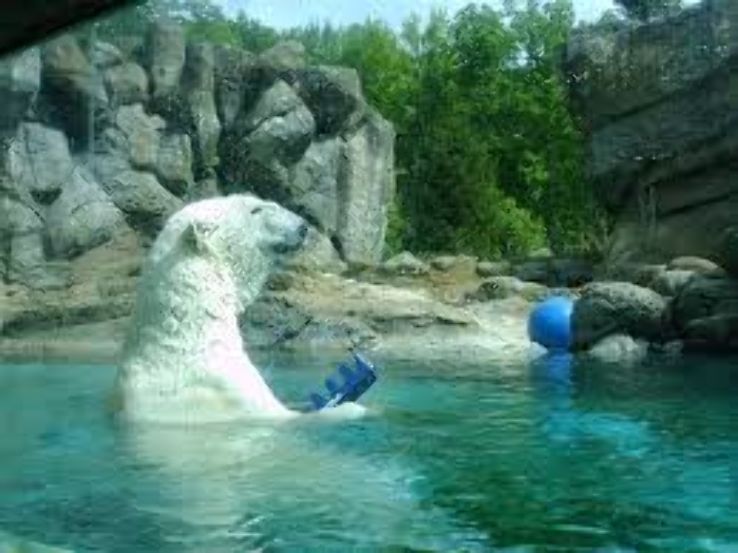 North Carolina Zoo  Trip Packages