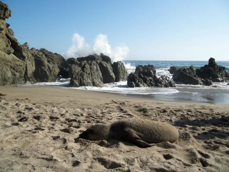 Point Mugu State Park Trip Packages