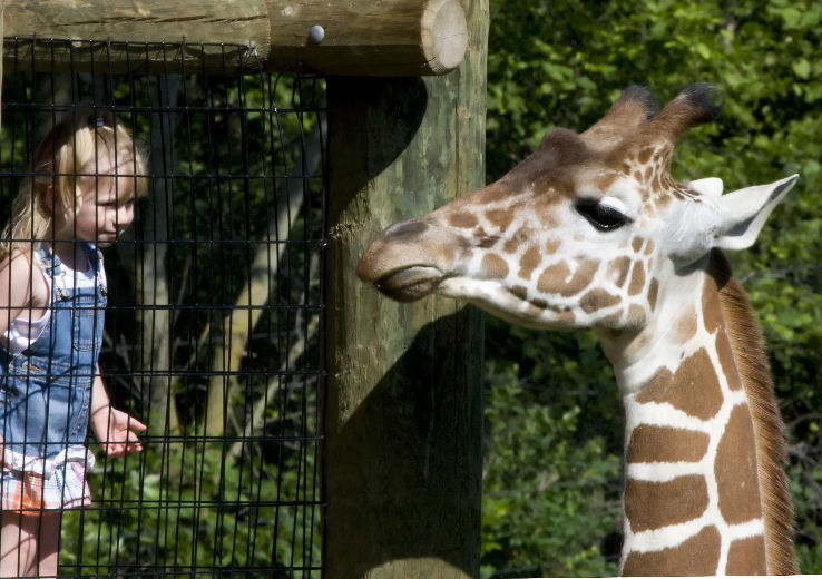 Indiana Attractions: Fort Wayne Childrens Zoo Trip Packages