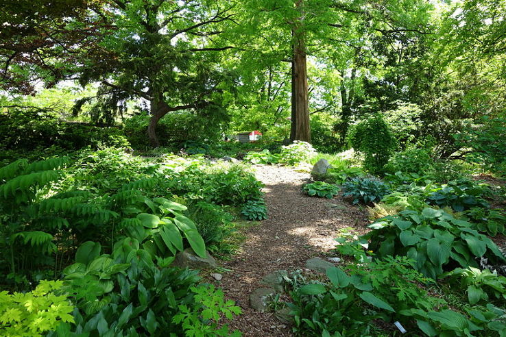 Hauck Botanic Gardens 2021, #4 top things to do in cincinnati, ohio ...