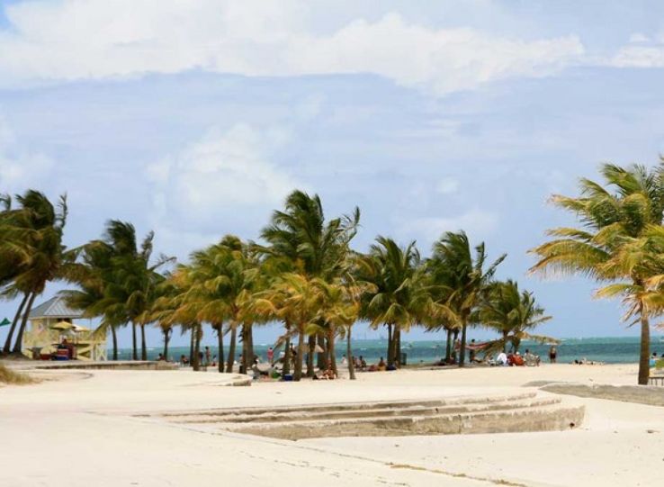 Key Biscayne and Crandon Park Trip Packages