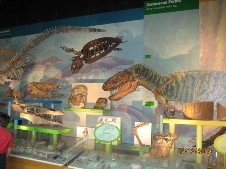 Mississippi Museum of Natural Science Trip Packages