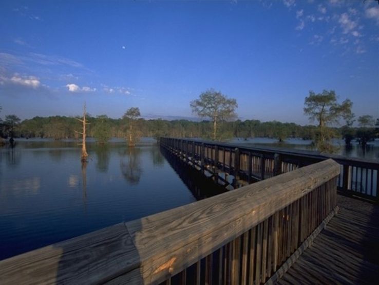 Lake Chicot State Park Trip Packages