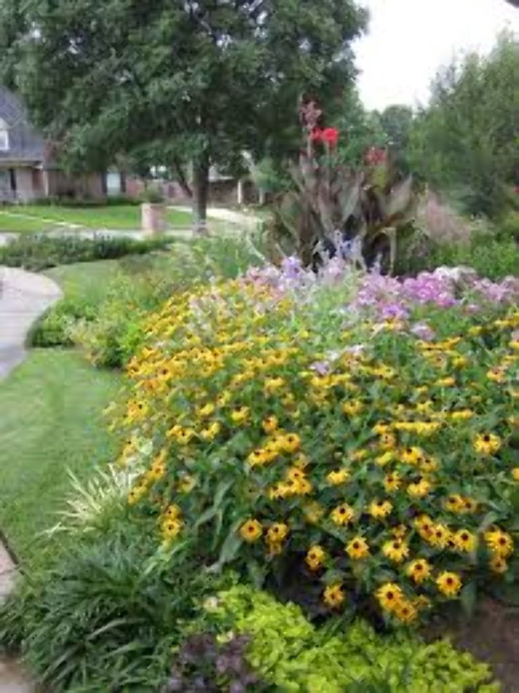 Grapevine Botanical Garden  Trip Packages