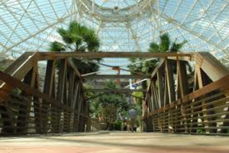 Grapevine Botanical Garden  Trip Packages