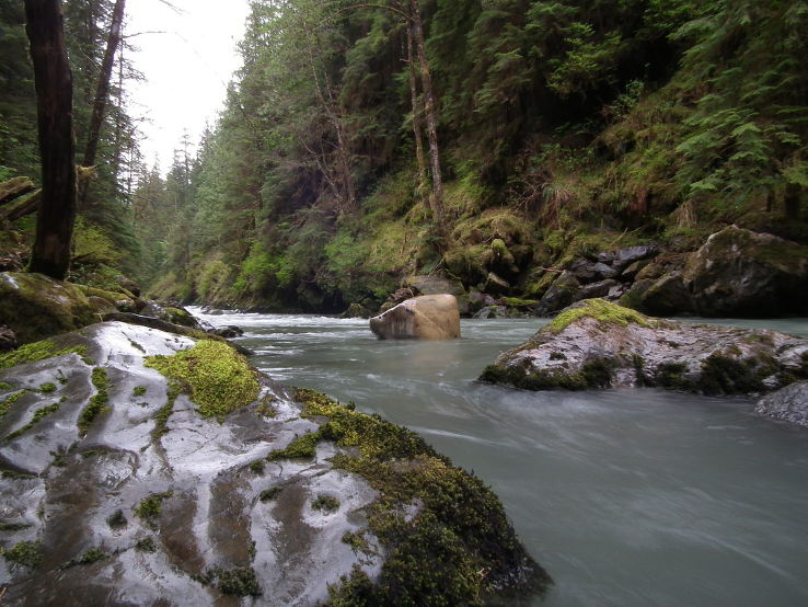 Boulder River Trip Packages