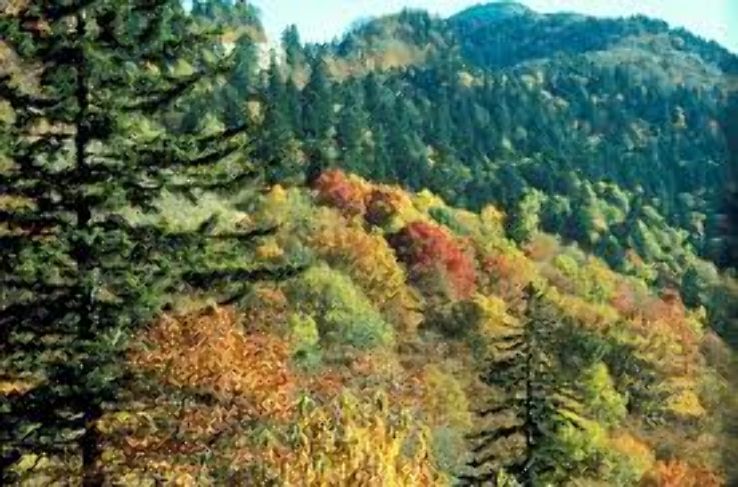 Great Smoky Mountains National Park Trip Packages