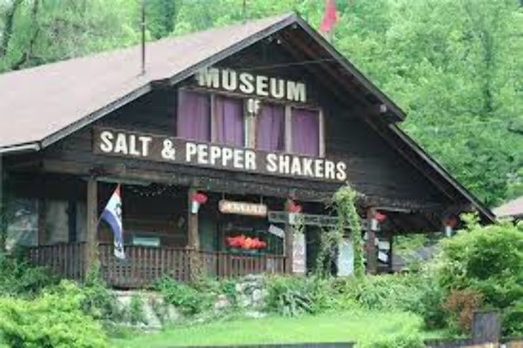 Salt & Pepper Shaker Museum Trip Packages