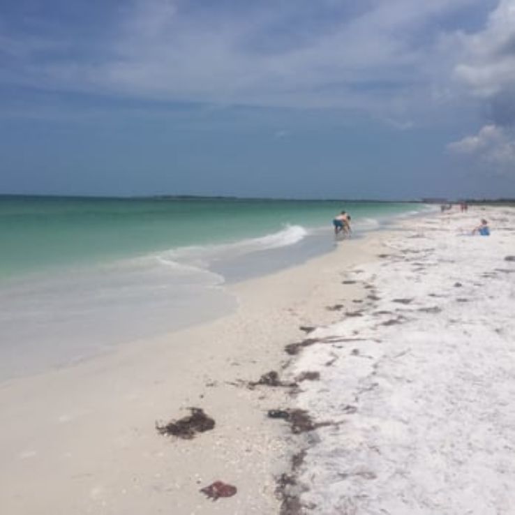 Caladesi Island State Park Trip Packages