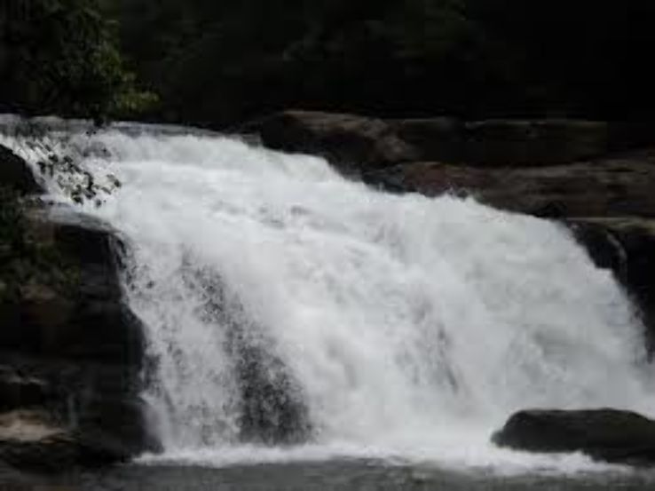 Thommankuthu Falls Trip Packages