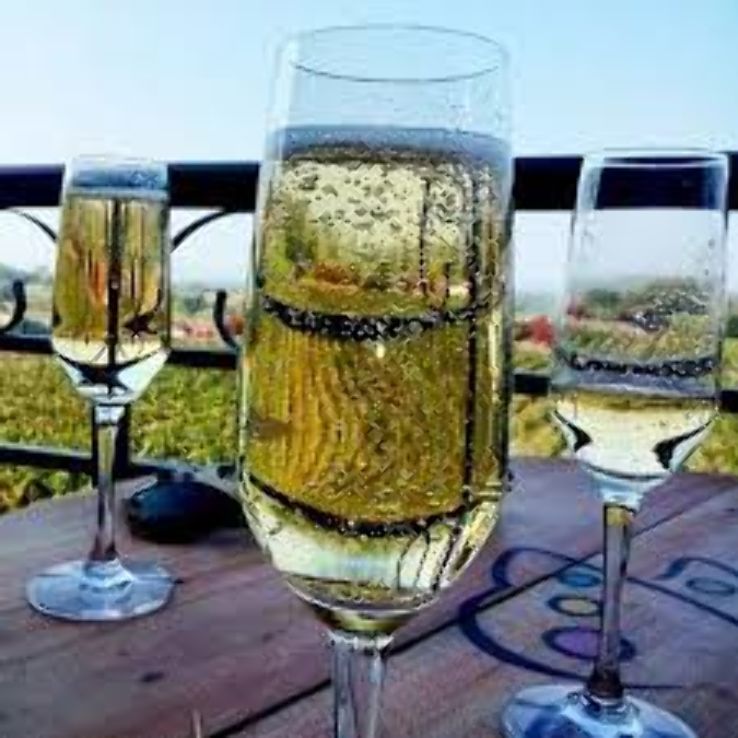 Nashik Wine Tour at Soma Trip Packages