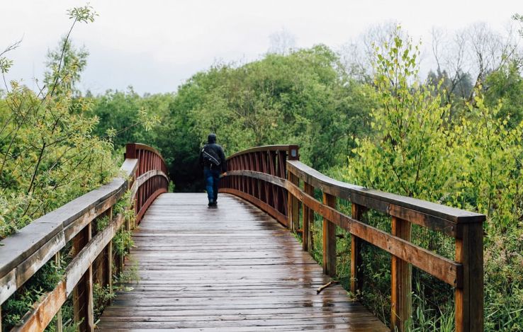 Mercer Slough Nature Park Trip Packages