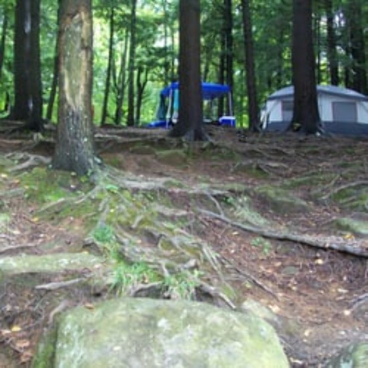 Tolland State Forest Trip Packages