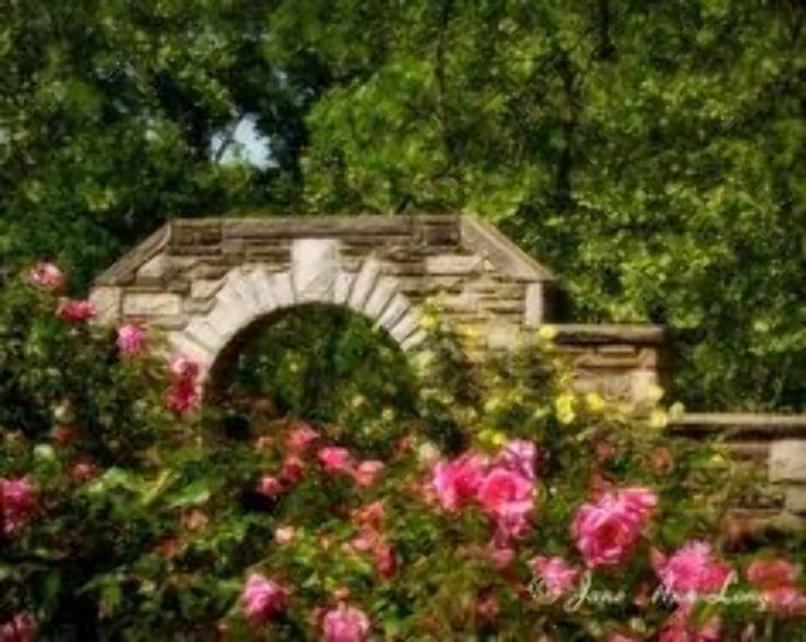 Ritter Park Rose Garden Trip Packages