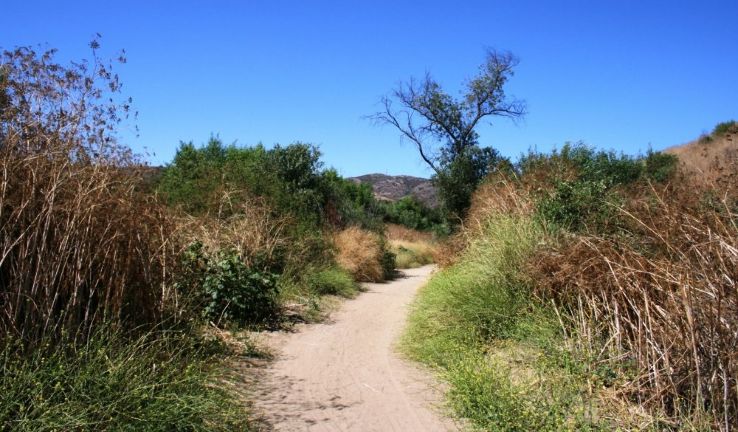 Carbon Canyon Regional Park Trip Packages