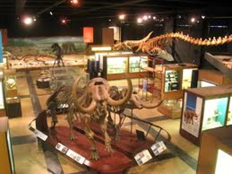 University of Michigan Museum of Natural History  Trip Packages