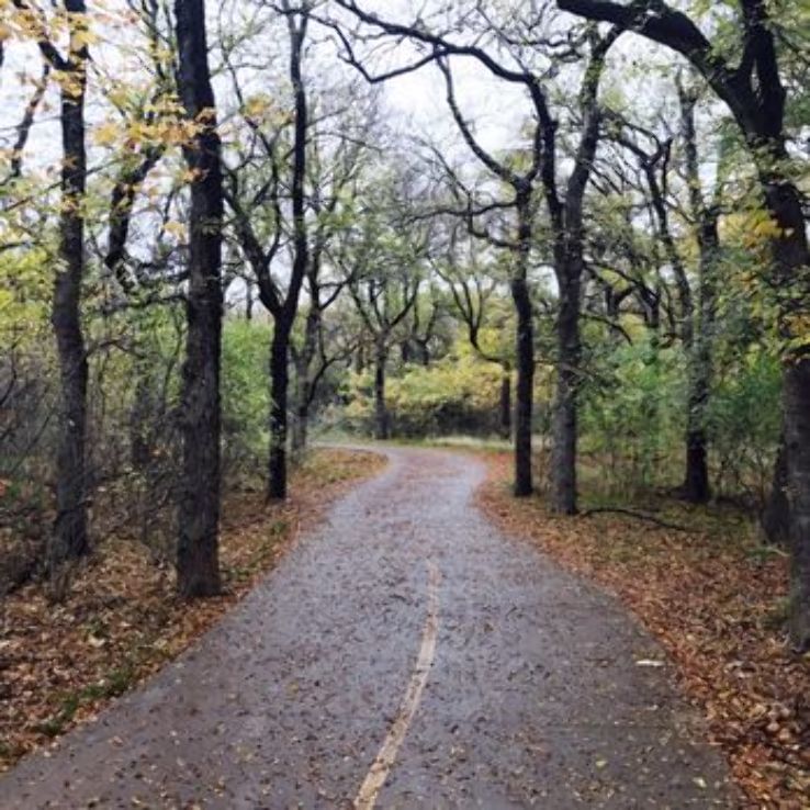 Arbor Hills Nature Preserve Trip Packages