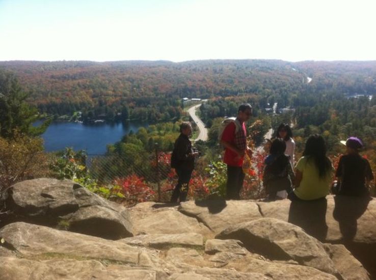 Dorset Scenic Lookout Tower Trip Packages