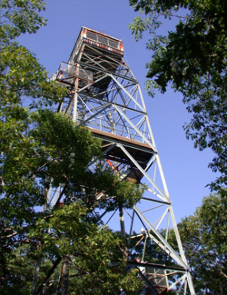 Dorset Scenic Lookout Tower Trip Packages