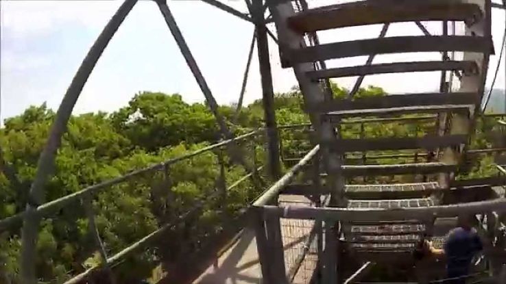 Dorset Scenic Lookout Tower Trip Packages