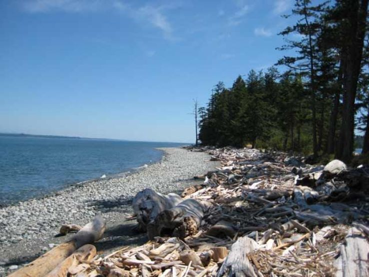 Newcastle Island Marine Provincial Park Trip Packages