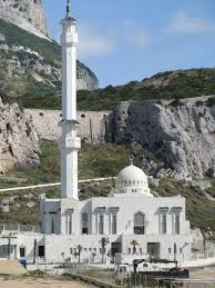 Ibrahim-al-Ibrahim Mosque Trip Packages