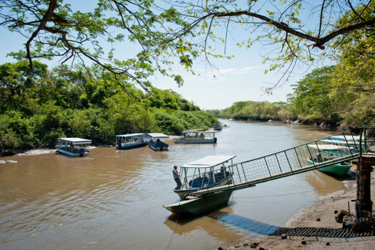 Palo Verde National Park 2021, #1 top things to do in bagaces