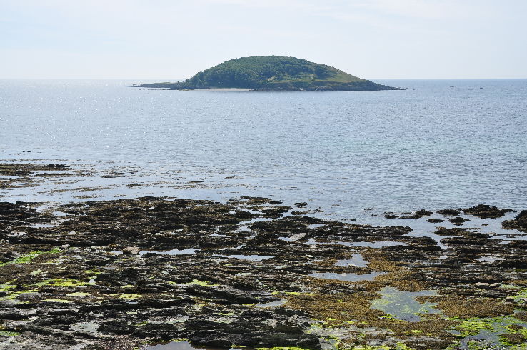 Looe Island Trip Packages