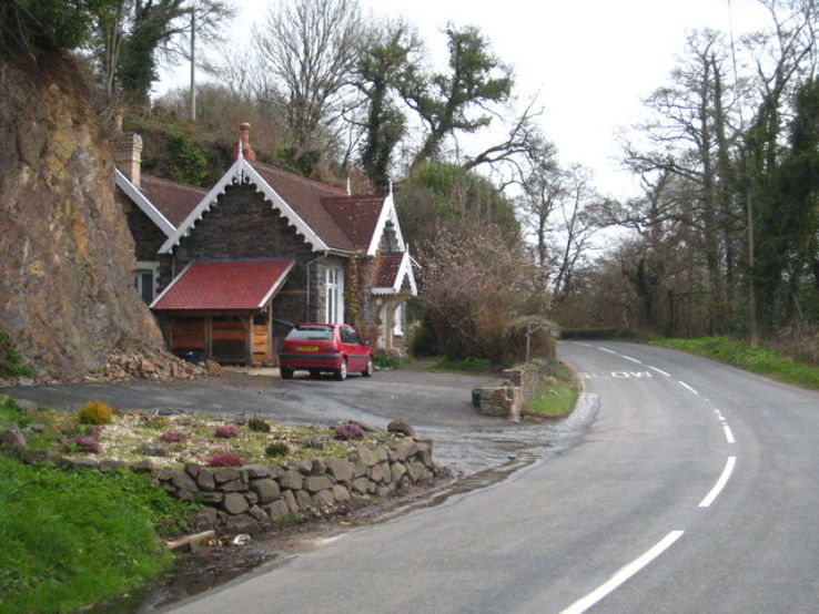 Yeo Valley Community Woodland Trip Packages