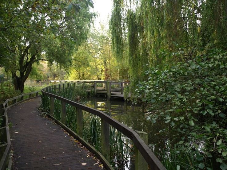 Wandsworth Common  Trip Packages