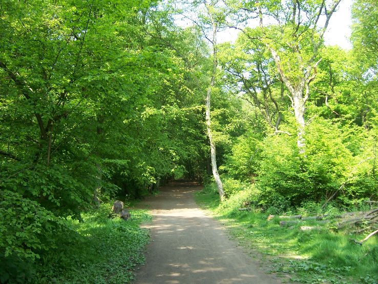 Ruislip Woods Trip Packages