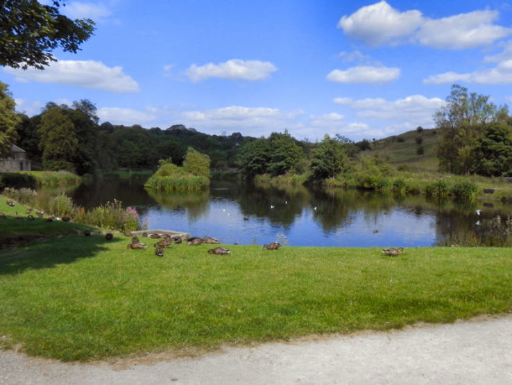 Lake Grove Park, stanmore, United Kingdom Top Attractions, Things to Do & Activities in Lake