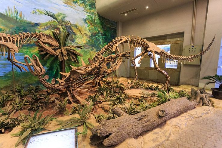 Zigong Dinosaur Museum  Trip Packages